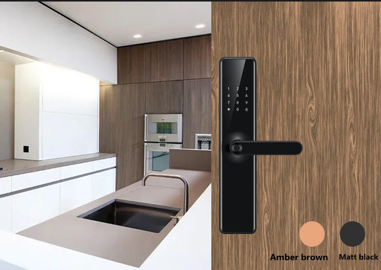 Smart Home Electronic Anti-Theft Door Biometrics Password RFID Fingerprint Door Lock Popular